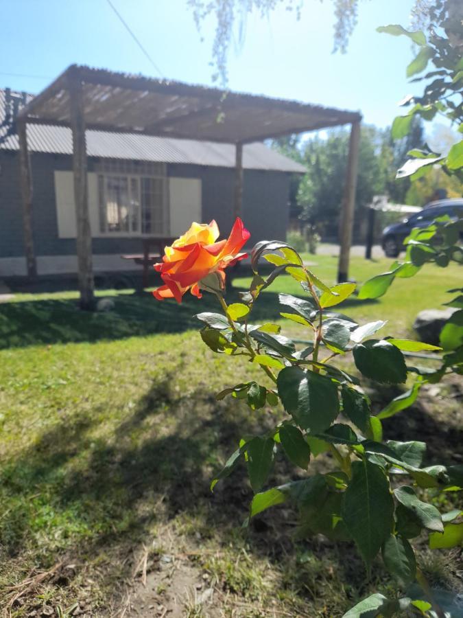 Complejo El Tata Holiday home Potrerillos